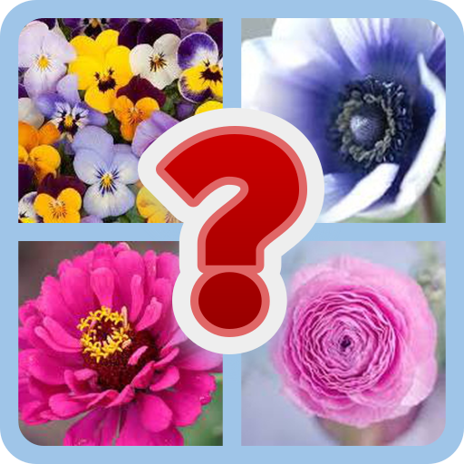 Guess the Blossom | Indus Appstore | App Icon