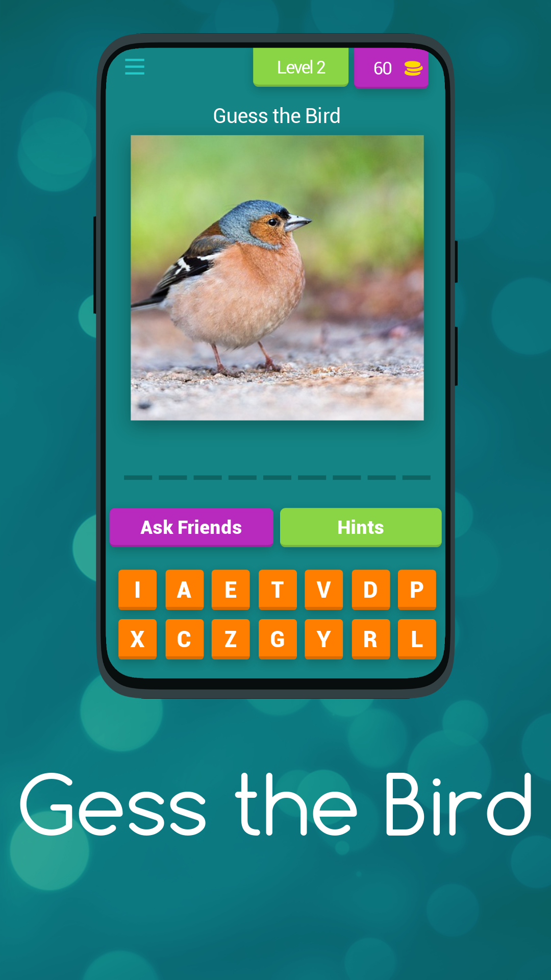 Bird Trivia: Guess the Creature Quiz | Indus Appstore | Screenshot