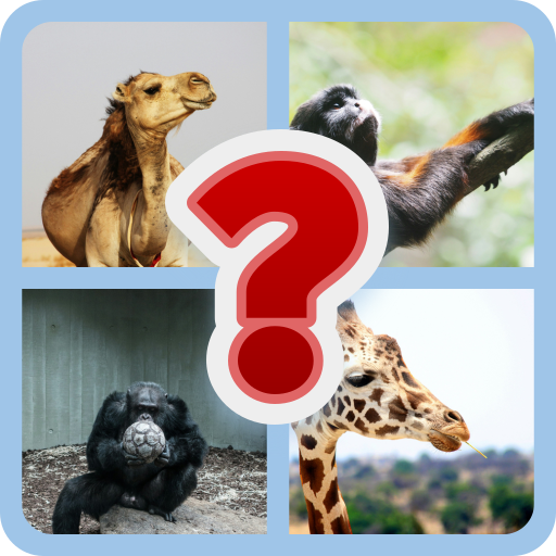 Fun Animal Guess for Kids | Indus Appstore | App Icon