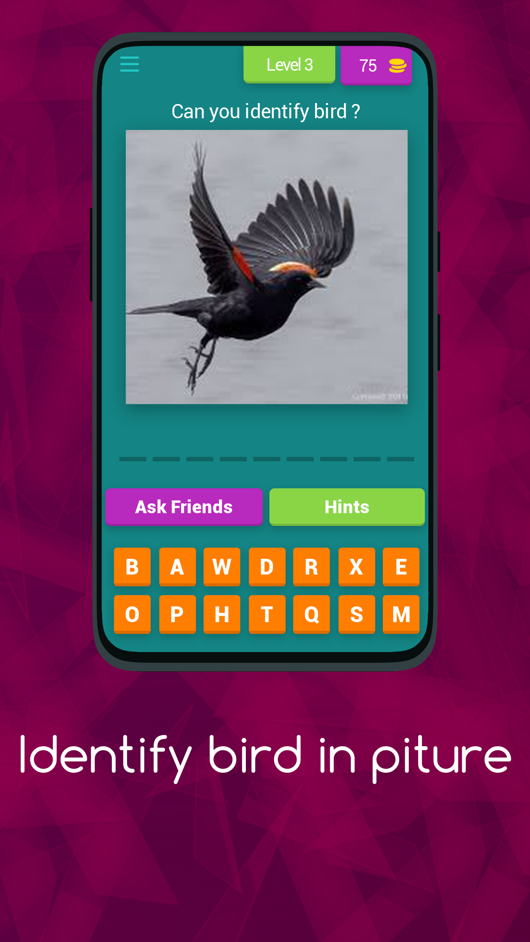 Bird Identification Quiz | Indus Appstore | Screenshot