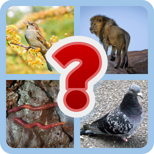 Wildlife Quiz: Guess Photo | Indus Appstore | App Icon