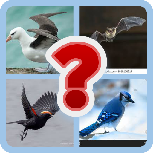 Bird Identification Quiz | Indus Appstore | App Icon