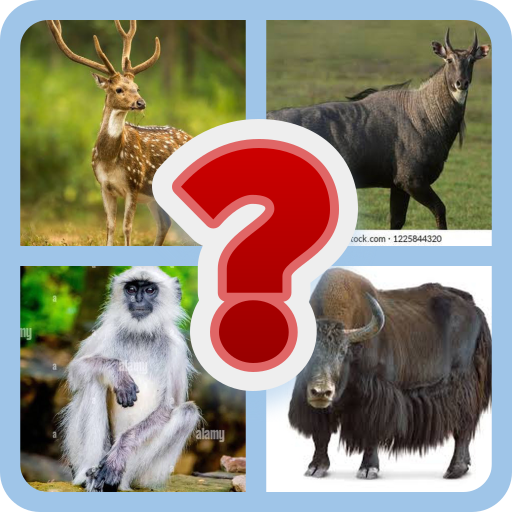 WILDLIFE CHALLENGE :  IDENTIFY THE ANIMALS | Indus Appstore | App Icon