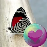 Butterflies HD Wallpapers | Indus Appstore | App Icon