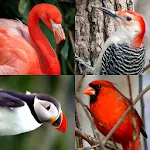 Bird World - Famous Birds Quiz | Indus Appstore | App Icon