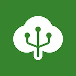 CottonAceapp icon