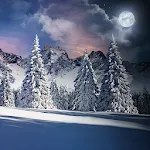 Christmas Snow Live Wallpaper | Indus Appstore | App Icon