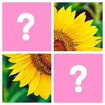 Word Pics: Trivia Puzzles | Indus Appstore | App Icon