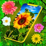 HD Summer Live Wallpaper | Indus Appstore | App Icon