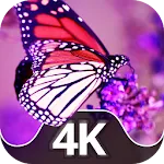 Wallpapers 4K with Insects | Indus Appstore | App Icon