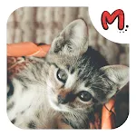 Animales: Sonidos e Imágenes | Indus Appstore | App Icon