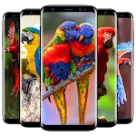 Cute Parrot Wallpaper | Indus Appstore | App Icon