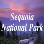 Sequoia National Park | Indus Appstore | App Icon