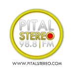 Pital Stereo | Indus Appstore | App Icon