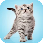 Kitten Sounds | Indus Appstore | App Icon