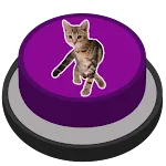 Angry Cat Prank Meme Button | Indus Appstore | App Icon