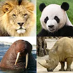 Animals Quiz Learn All Mammalsapp icon