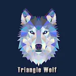 Triangle Wolf Theme +HOME | Indus Appstore | App Icon