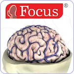 NEUROANATOMY - Digital Atlas | Indus Appstore | App Icon