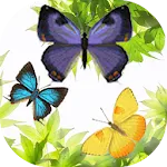 Butterfly and Blossom live wal | Indus Appstore | App Icon