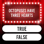 Trivia Quiz: Super Trivia Game | Indus Appstore | App Icon