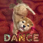 Animal Dance puppies | Indus Appstore | App Icon