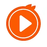 Video Player All Formats | Indus Appstore | App Icon