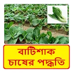 বাটিশাকের চাষের পদ্ধতি | Indus Appstore | App Icon