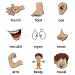 80 languages Kids body parts lapp icon