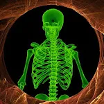 Wall Scanner Xray Prank | Indus Appstore | App Icon