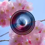 Haru Camera - Spring and Valen | Indus Appstore | App Icon