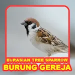 Bird: Eurasian Tree Sparrow | Indus Appstore | App Icon