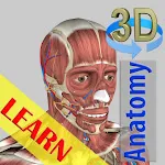 3D Bones and Organs (Anatomy) | Indus Appstore | App Icon