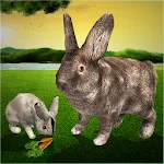 Ultimate Rabbit Simulator Game | Indus Appstore | App Icon