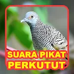 Suara Burung: Kicau Perkutut | Indus Appstore | App Icon