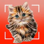 Cat breeds - Smart Identifier | Indus Appstore | App Icon