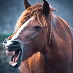 Horse Sounds | Indus Appstore | App Icon