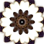 Intuitive Mandala Oracle Cards | Indus Appstore | App Icon