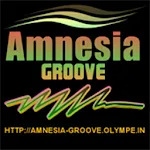 Amnesia Groove | Indus Appstore | App Icon