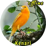 Suara Burung Kenari  Offline | Indus Appstore | App Icon