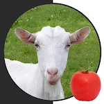 Feed The Goat - Maze Mission | Indus Appstore | App Icon