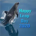 Happy Leap Day 2024 | Indus Appstore | App Icon