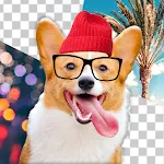 Dog Photo Editor | Indus Appstore | App Icon