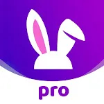 VoVoo Pro - Live Video Chat | Indus Appstore | App Icon