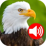 Animal Ringtones | Indus Appstore | App Icon