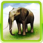 REAL ANIMALS HD | Indus Appstore | App Icon