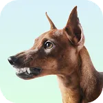 Dog Growling Sounds | Indus Appstore | App Icon