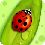 Lady Bug Wallpaper | Indus Appstore | App Icon