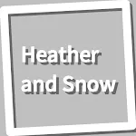 Book, Heather and Snow | Indus Appstore | App Icon