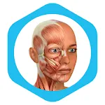 Medical Terminology Learning Q | Indus Appstore | App Icon